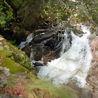 DSCN1934