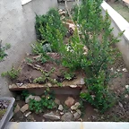 IMG_20200418_115047961