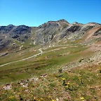 DSCN8439