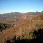 DSCN2959