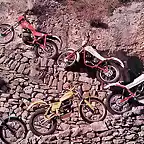 09_1981_200trial_mv85_13