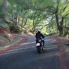 1-1-IMG_2731