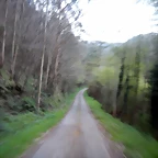 DSCN9666