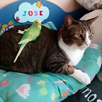IMG-20190309-WA0010