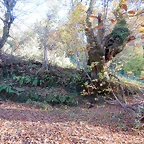 DSCN9313