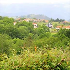 019-IMG_1573