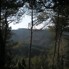 PICT0177