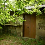 DSCN4354