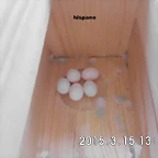 CIMG0856