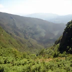 DSCN6582