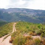 DSCN6199