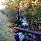 DSCN1339