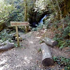 DSCN7859