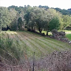 DSCN5265
