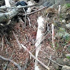 IMG-20190510-WA0018
