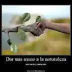 giveahandtonature168085400294