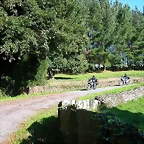 DSCN5497