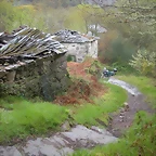 DSCN4196