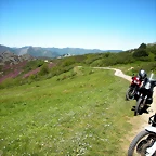 DSCN8519