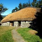 DSCN0342