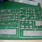 DSCN3050