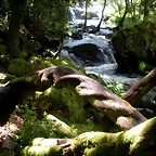 DSCN2841