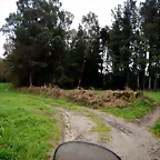 DSCN2993