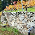 DSCN9888