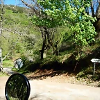 DSCN0051