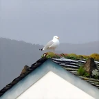 DSCN3237