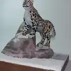 Leopardo de las nieves (10)