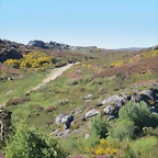 12-IMG_6511