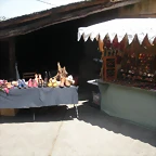 DSCN5883