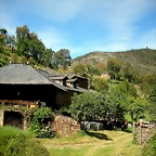 DSCN5039