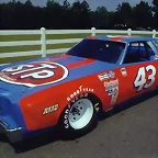 Richard Petty - 05