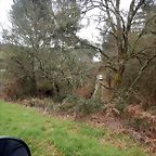 DSCN5351