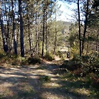 DSCN9009