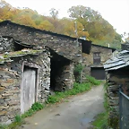 DSCN6088