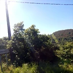 DSCN2147