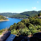 DSCN4151