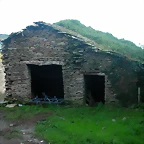 DSCN5384