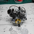 DSCN4595