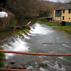 DSCN2884
