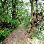 DSCN4346