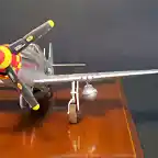 NorthAmericanP-51DMustang 19