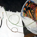 DSCN5882