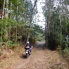DSCN0505