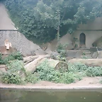 PIC03265