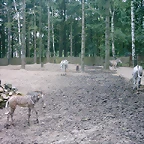 PIC03327