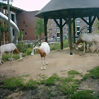 PIC03275
